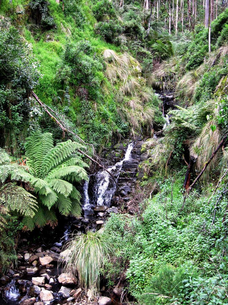 a-small-waterfall-on-the-precipitous-west-face-of-mt-tassie