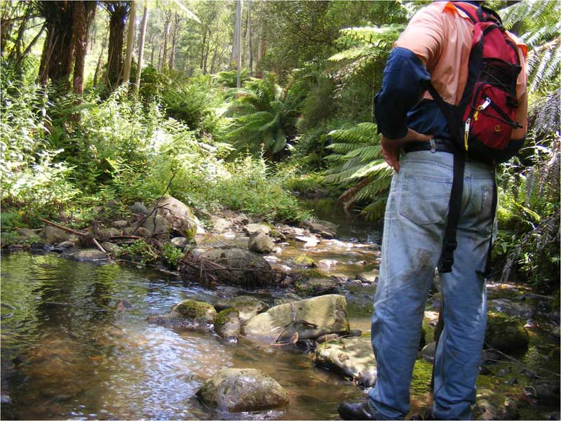 billys-creek-crossing