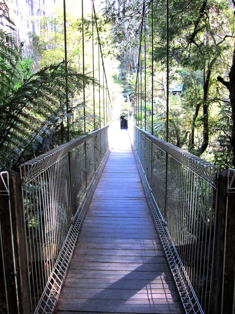 corrigans-suspension-bridge-tarra-bulga-national-park-balook
