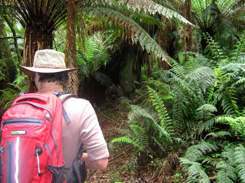 exploring-duff-trail