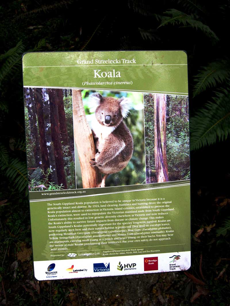 interpretive-signs-inform-hikers-about-local-environment-and-history
