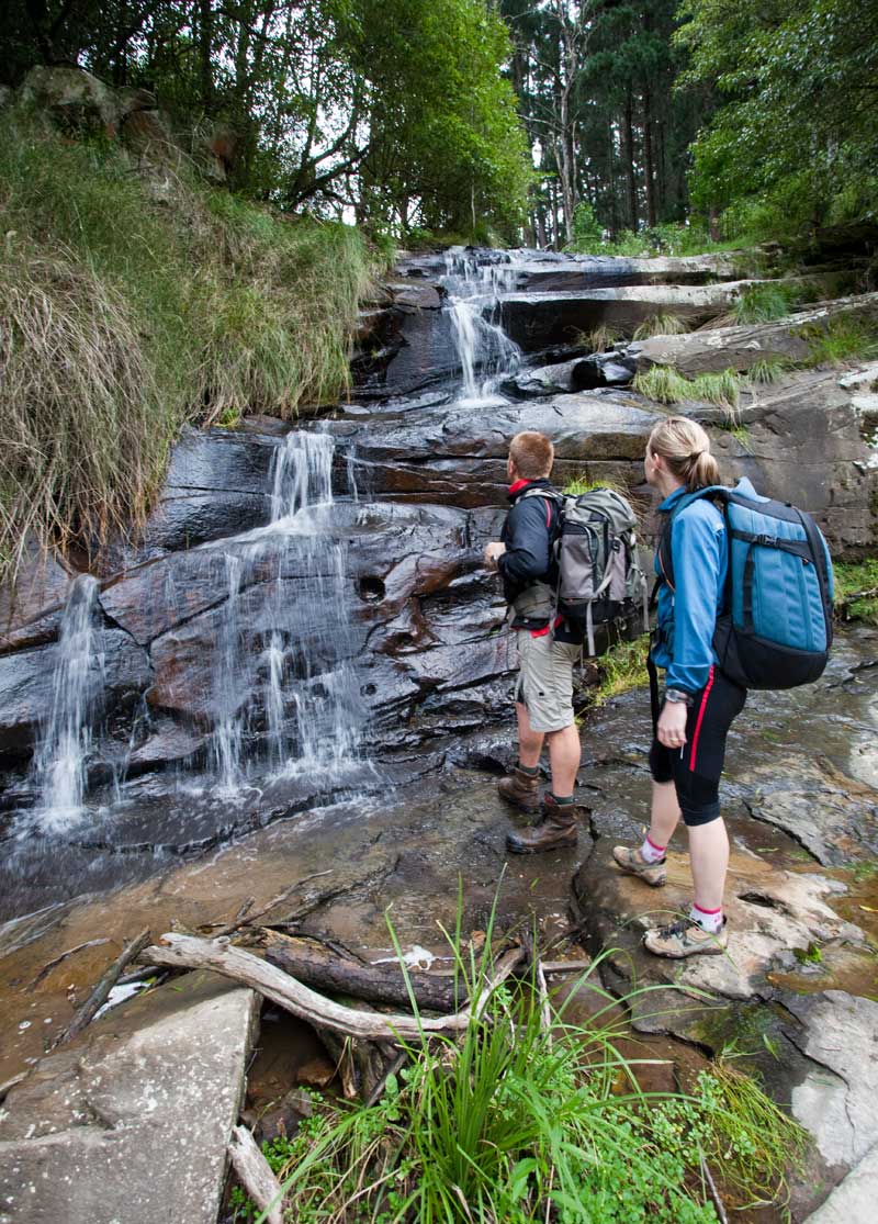 lovely-waterfall-on-a-tributary-of-macks-creek-darryl-whitaker-djwtv