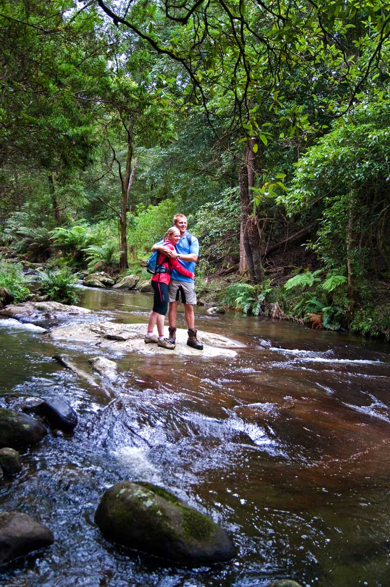 macks-creek-is-a-fast-flowing-mountain-stream-arising-in-tarra-bulga-np-darryl-whitaker-djwtv