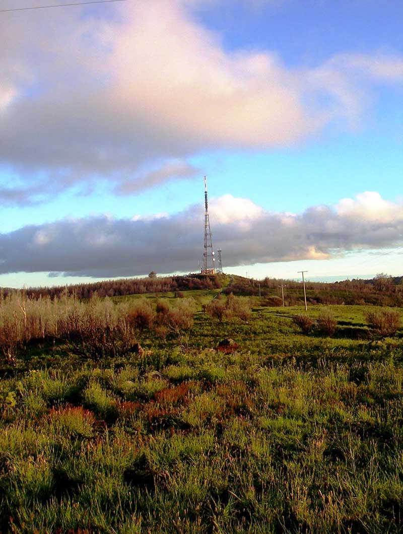 mount-tassie-summit-and-tv-tower