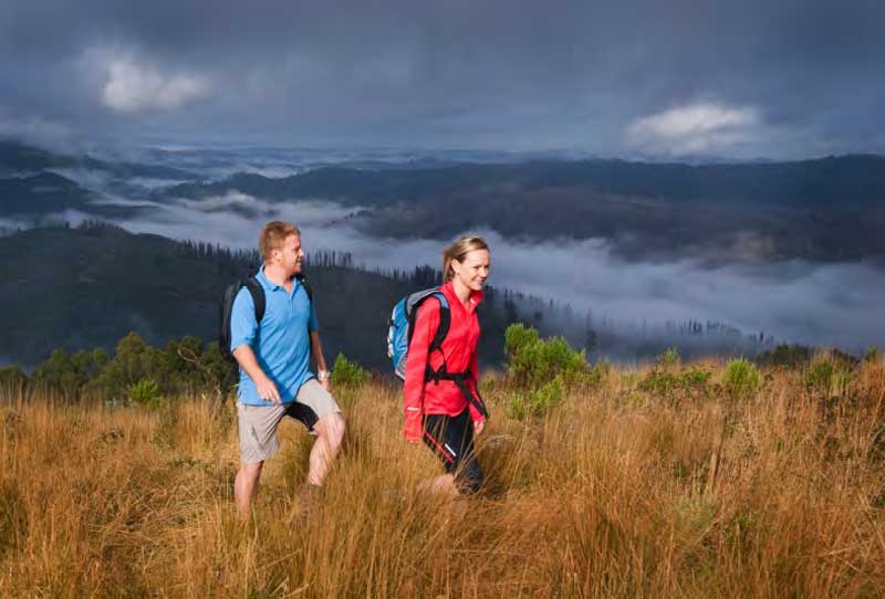 mount-tassie-view-across-misty-ranges-darryl-whitaker-djwtv