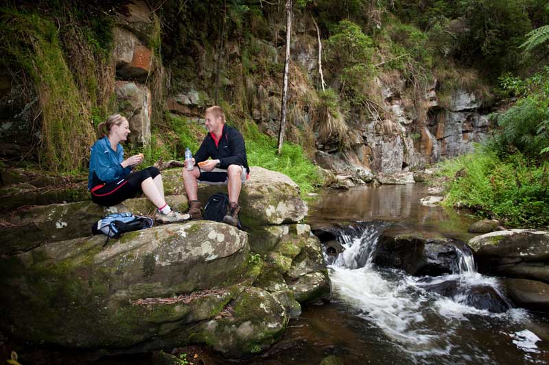 picnic-at-macks-creek-darry-whitaker-djwtv