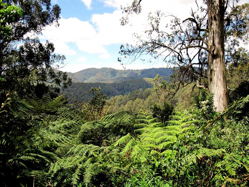 taylors-road-view-over-traralgon-creek-valley