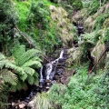 a-small-waterfall-on-the-precipitous-west-face-of-mt-tassie