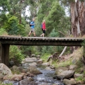 bird-road-bridge-macks-creek-darryl-whitaker-djwtv