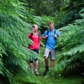 diaper-track-tree-ferns-darryl-whitaker-djwtv