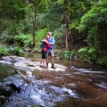 macks-creek-is-a-fast-flowing-mountain-stream-arising-in-tarra-bulga-np-darryl-whitaker-djwtv