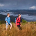 mount-tassie-view-across-misty-ranges-darryl-whitaker-djwtv