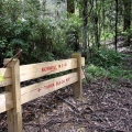 signpost-on-the-park-to-park-walk