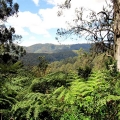 taylors-road-view-over-traralgon-creek-valley