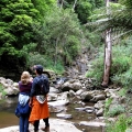 the-rugged-terrain-and-rainforest-of-macks-creek