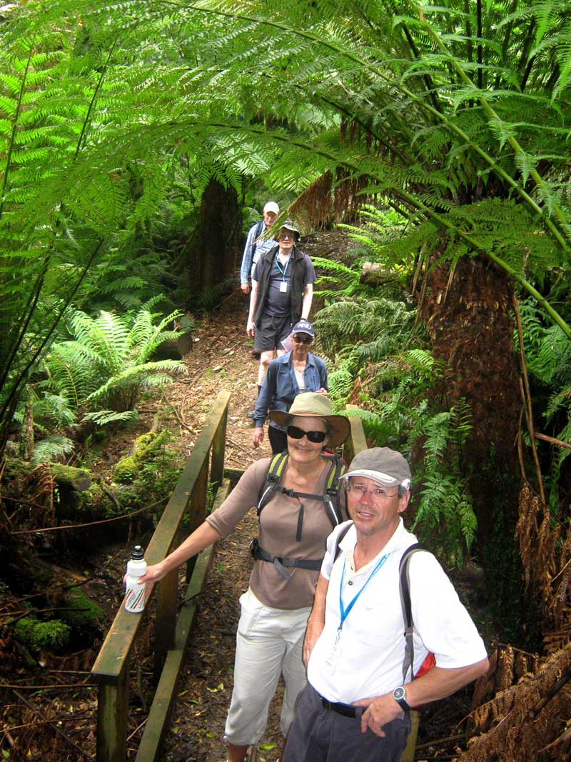 walkers-on-duff-trail